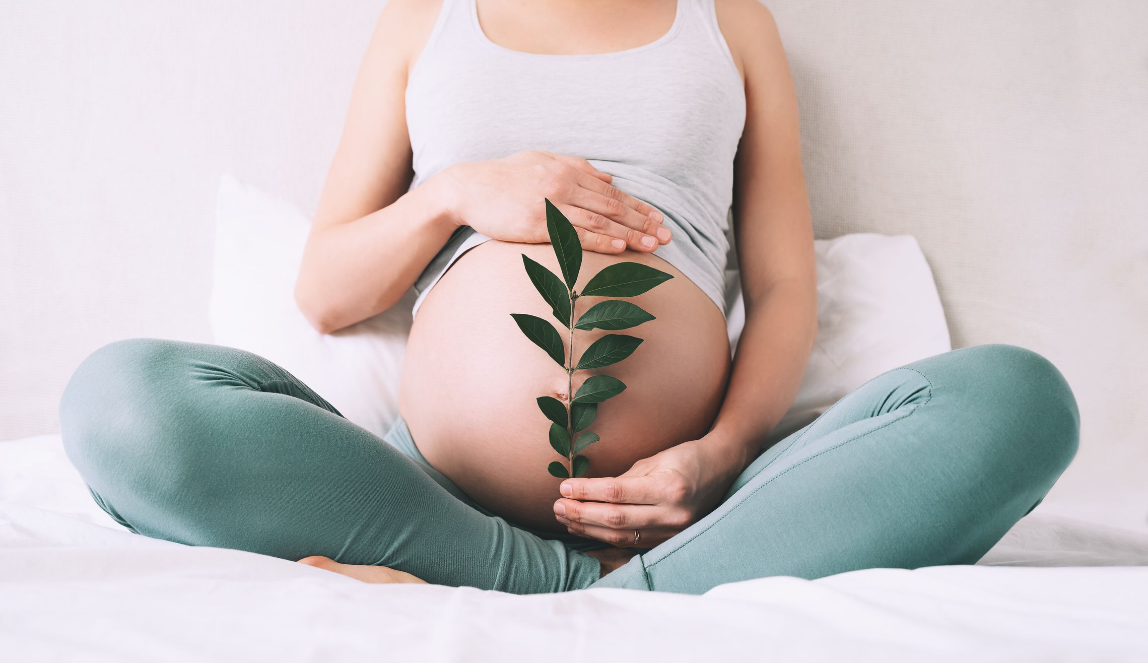 Eine schwangere Frau hält eine Pflanze vor den Bauch